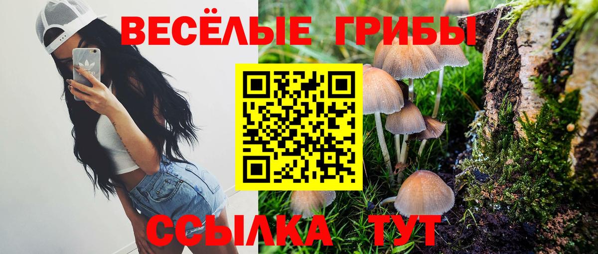 Новочеркасск  наркота  Вход с VPN  Галлюциногенные грибы Psilocybe 